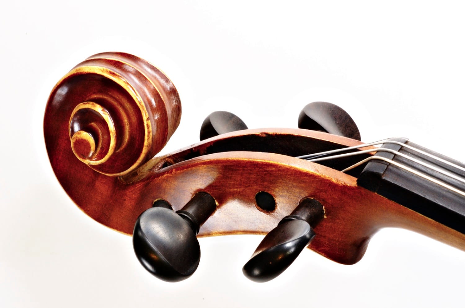La volute sculptée et les chevilles d’accord d’un instrument à cordes.