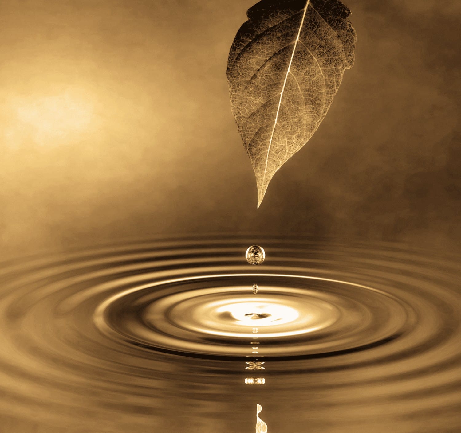 Une feuille au-dessus de l’eau et une goutte propageant des ondes concentriques.